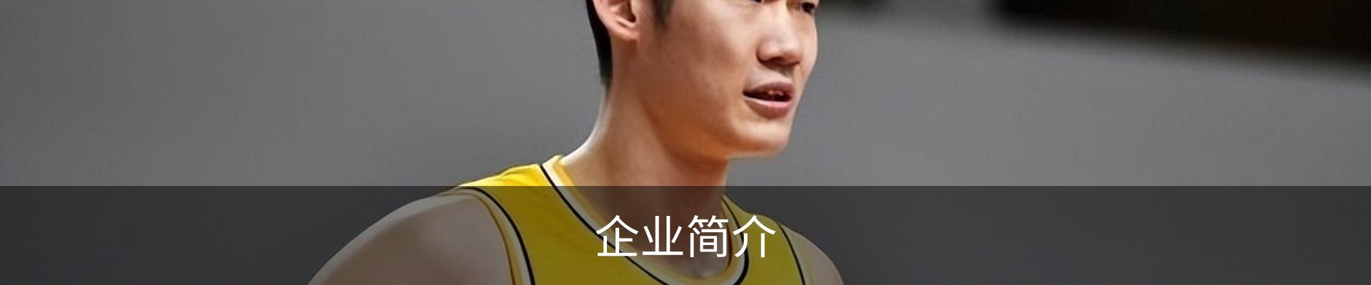 企业简介